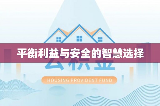 金阳平衡利益与安全的智慧选择