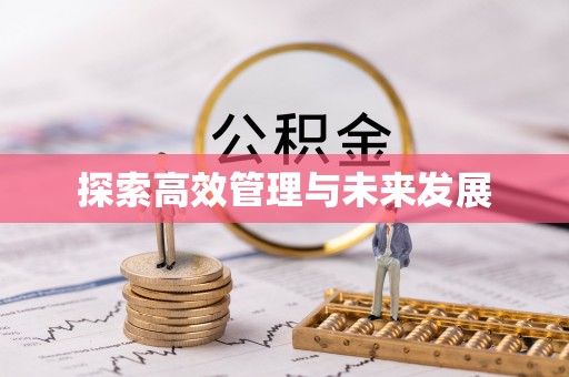 金阳探索高效管理与未来发展