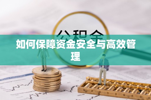 金阳如何保障资金安全与高效管理