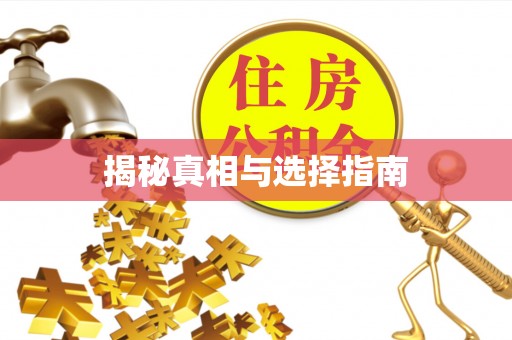 金阳揭秘真相与选择指南