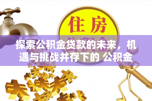 金阳探索公积金贷款的未来，机遇与挑战并存下的 公积金贷款风险防控