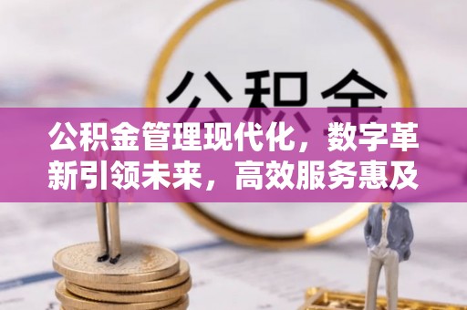 金阳公积金管理现代化，数字革新引领未来，高效服务惠及民生