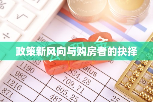 金阳政策新风向与购房者的抉择