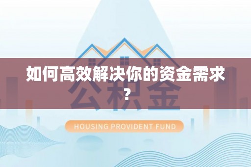 金阳如何高效解决你的资金需求？