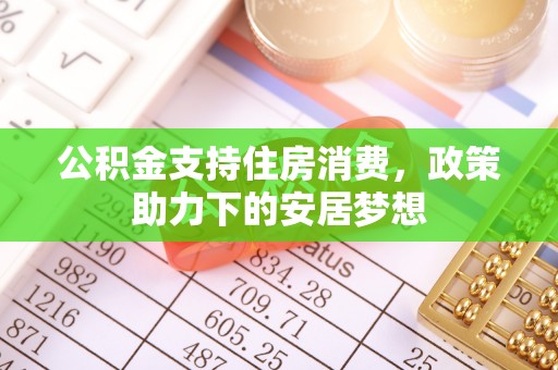 金阳公积金支持住房消费，政策助力下的安居梦想