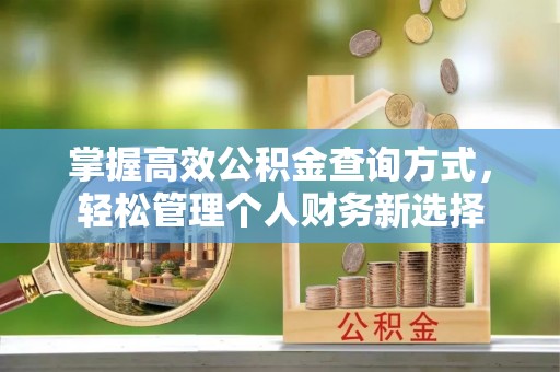 金阳掌握高效公积金查询方式，轻松管理个人财务新选择