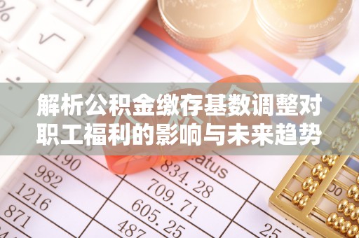 金阳解析公积金缴存基数调整对职工福利的影响与未来趋势
