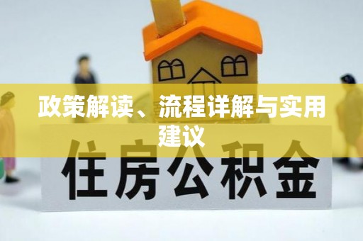 金阳政策解读、流程详解与实用建议