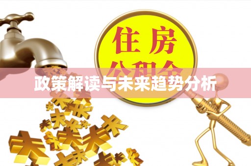 金阳政策解读与未来趋势分析