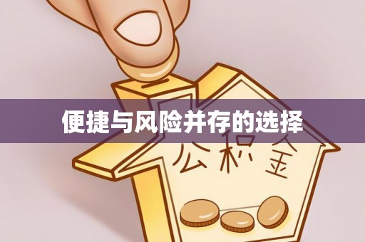 金阳便捷与风险并存的选择