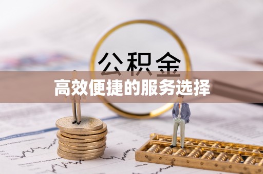 金阳高效便捷的服务选择