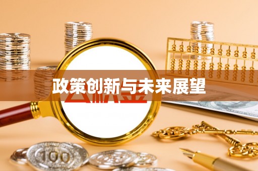 金阳政策创新与未来展望