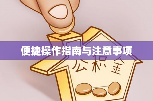 金阳便捷操作指南与注意事项